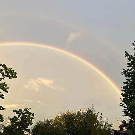 Appartement 5 Minuten Von Murten